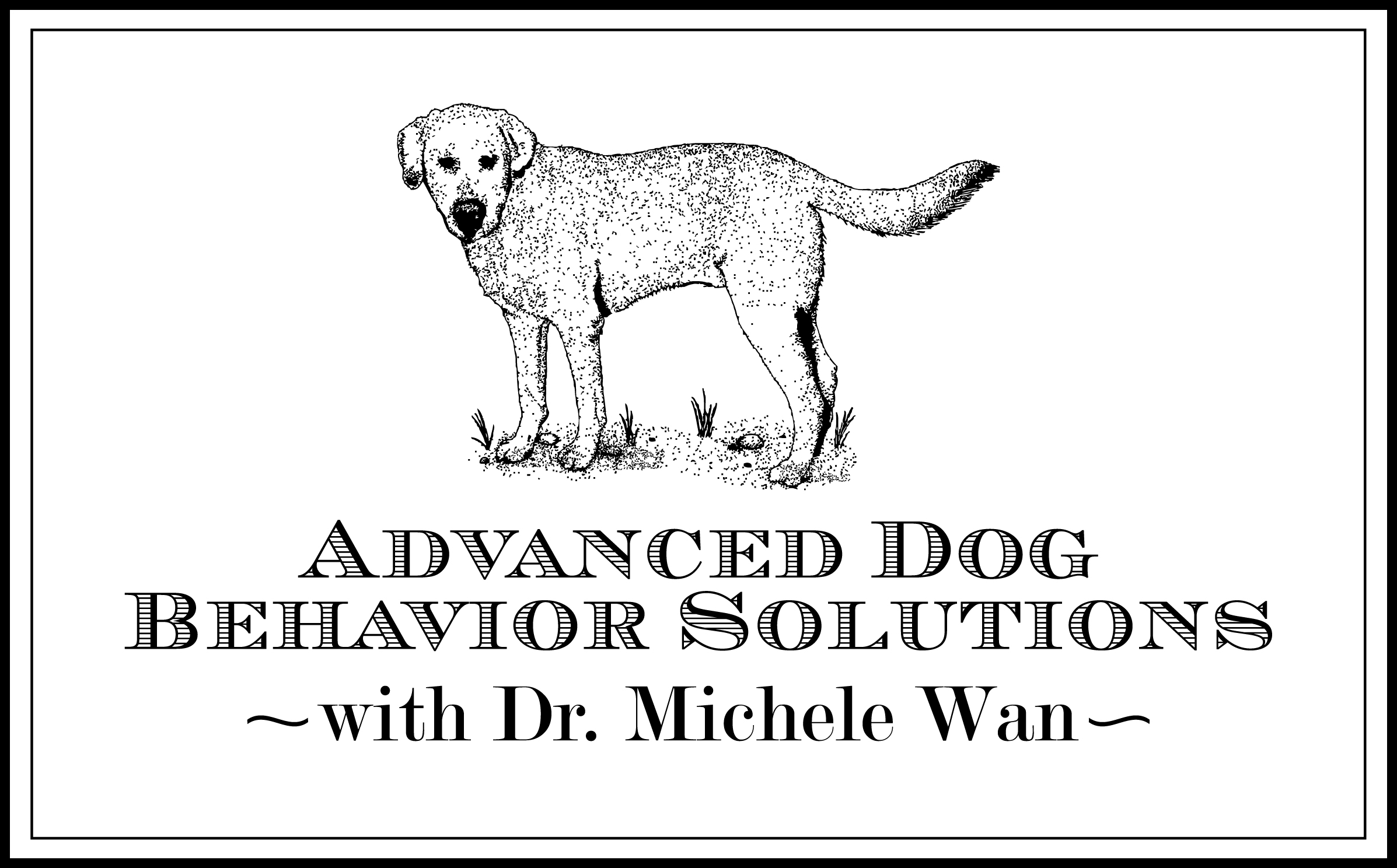 Advanced Dog Behavior Solutions, LLC